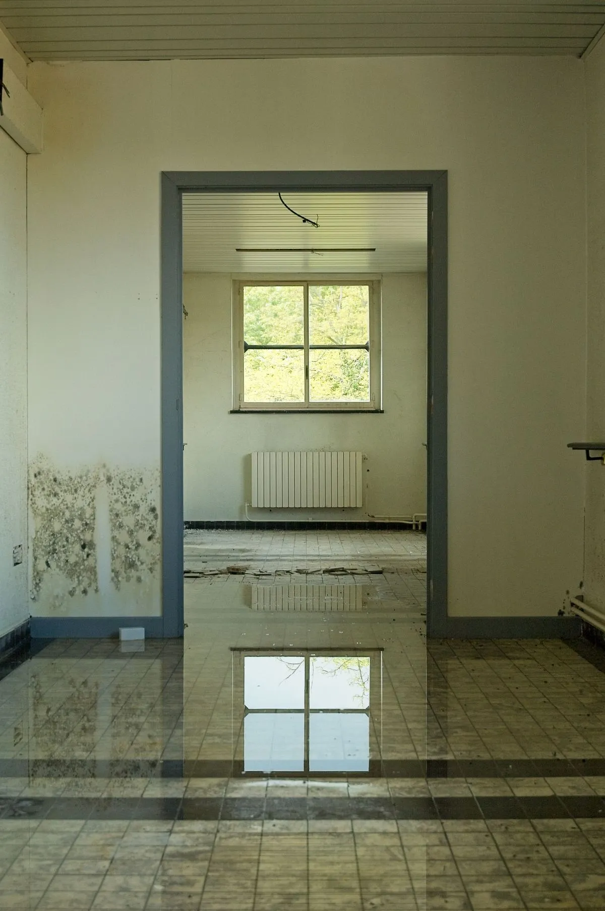 Water-damaged room with mold growth near the lower wall