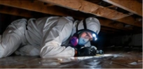 Technician inspecting beneath floor joists in a crawl space