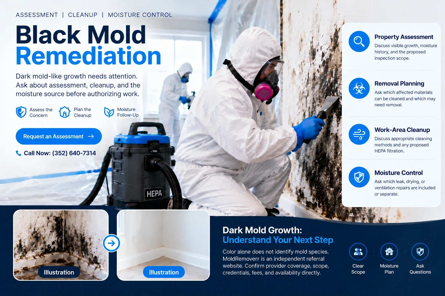 Black mold remediation service overview supplied by the site owner